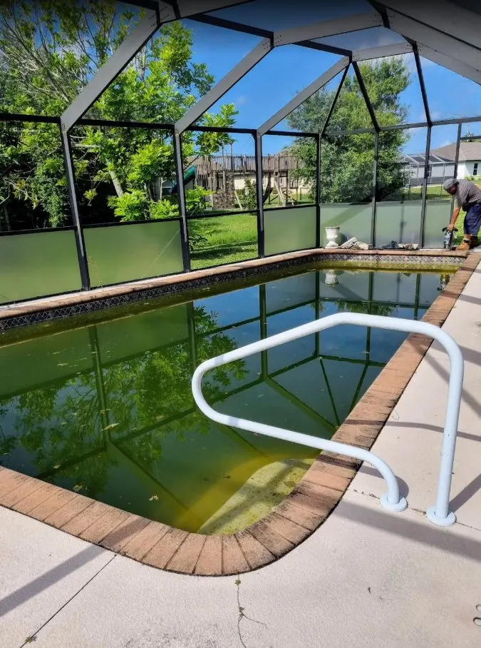 Before: green, algae-filled pool