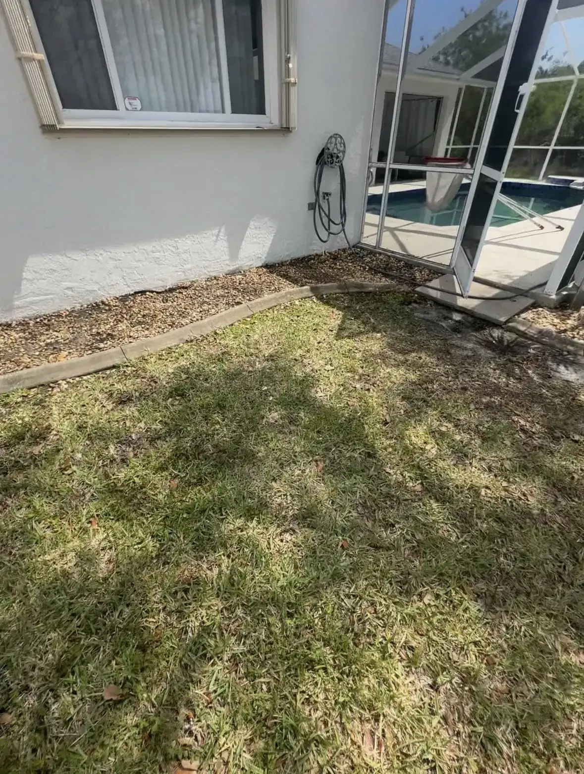 Before: bare lawn beside a screened pool enclosure